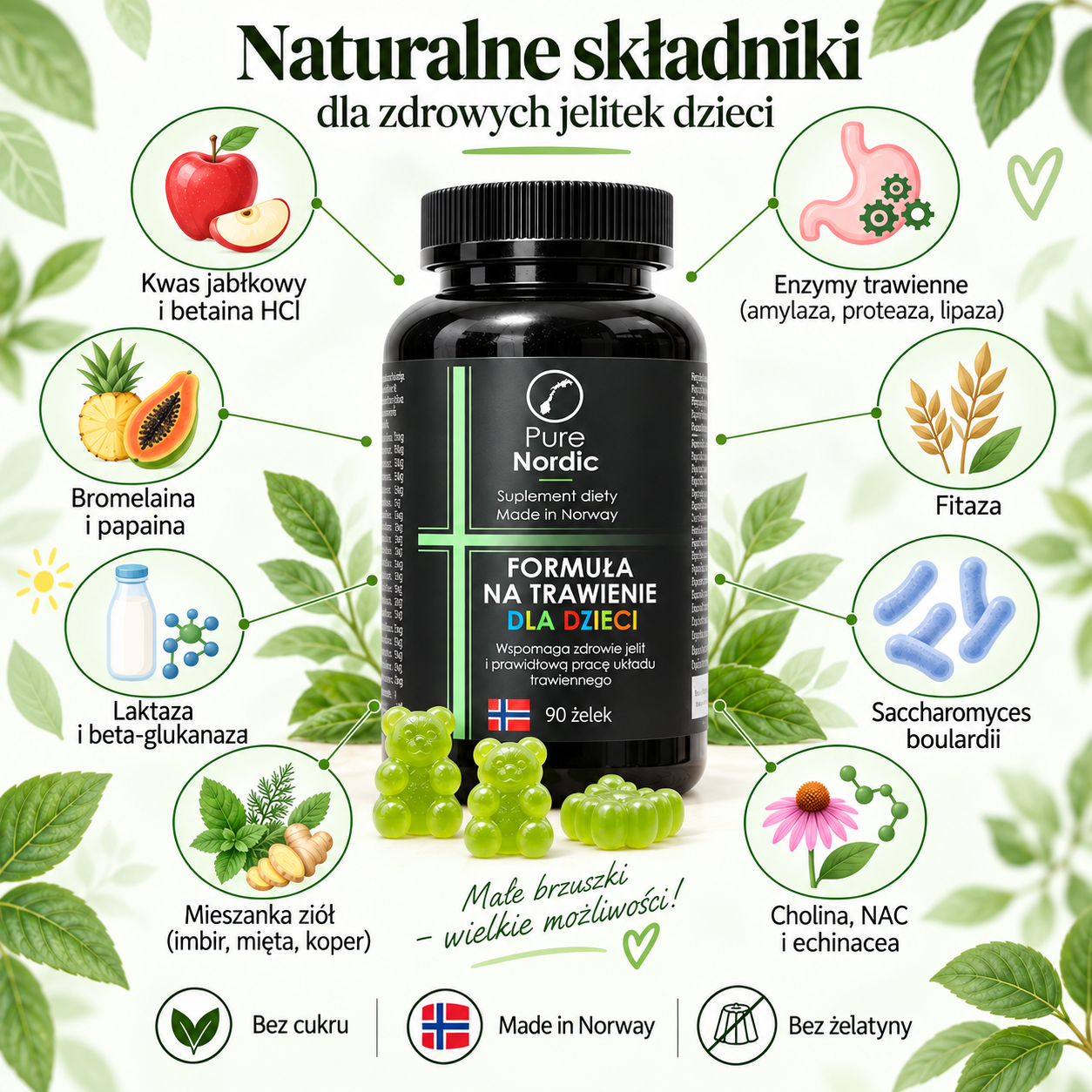 Schemat naturalnych składników formuły trawiennej dla dzieci